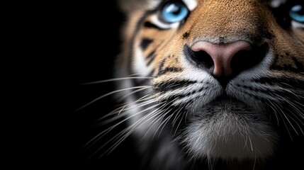 A close-up of a soft peach dahlia flower against a blurred green background, enhanced with ethereal light spots, perfect for nature-themed projects, greeting cards, or beauty product marketing,