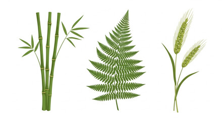 Fototapeta premium Botanical bliss featuring vibrant green bamboo stalks, a delicate fern, and golden wheat sprigs perfect for nature-inspired designs and eco-friendly projects