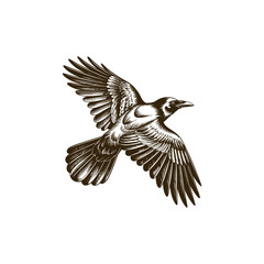 Naklejka premium Vintage engraving woodcut crow vector illustration art design
