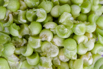 green honeydew melon fruit balls prepared and cut into small spheres