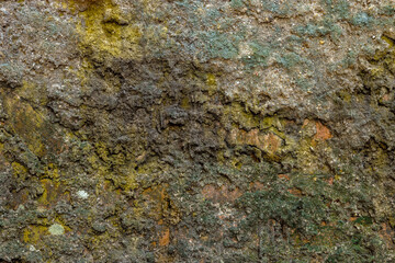 Weathered old brick wall with rough decay, moss stains, and natural grunge texture ideal for backgrounds, design surfaces, and vintage or industrial themes