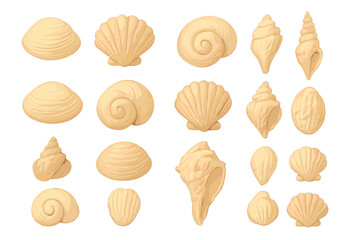 Assortment of beige and peach seashells and conch shells isolated on white