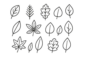 Simple black outline collection of diverse tree and plant leaves in doodle style
