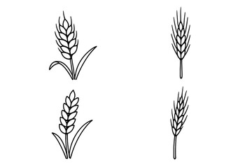 Set of four hand-drawn style wheat ears and grain icons representing agriculture and harvest