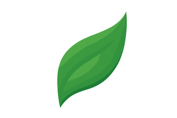 Vibrant green leaf element with smooth gradient shading on white background