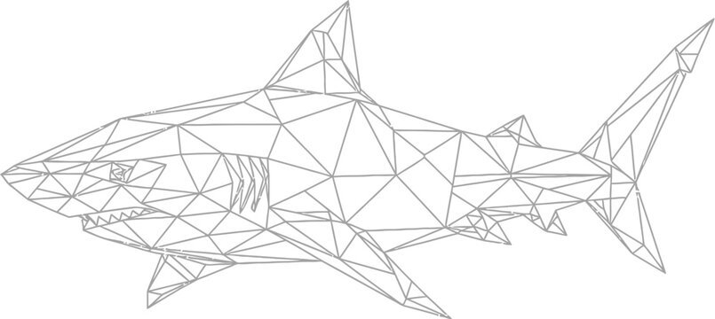 Geometric shark illustration with a modern low poly design on a white background