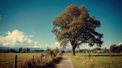 Serene countryside landscape featuring a solitary tree, vibrant meadow, distant mountains, and clear blue sky, perfect for nature and travel themes
