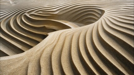 Rippled Sand Dunes Under Bright Sunlight Form Intriguing Patterns and Textures in a Serene Desert Landscape Capturing Nature's Beautiful Design