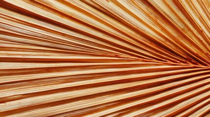 Obraz premium Close-Up Perspective of Textured and Layered Natural Palm Leaves in Warm Earth Tones Showcasing Organic Patterns for Nature Inspired Designs