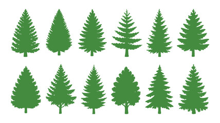 Obraz premium Green evergreen tree silhouettes