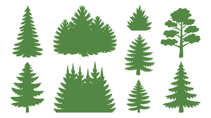 Obraz premium Green forest tree silhouettes