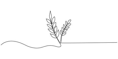 Ears of  wheat  one continuous line drawing .Fall harvest line art. Vector  one line of spikelet . Thanksgiving symbol.Grain, One continuous line. Spikelet of wheat. Spikelet of a cereal plant. Flat.