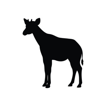 Okapi silhouette icon vector flat illustration design.