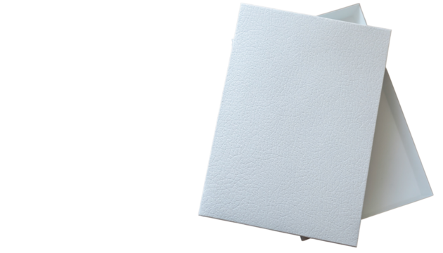 Two blank white rectangular canvases are stacked at an angle against each other with visible texture detail studio shot on white and cutout