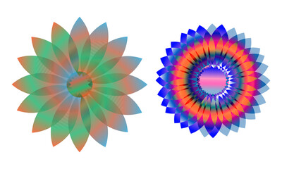 Multicolor Mandala Petal Composition