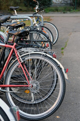 Multiple bicycles are aligned in a row on the pavement. A red bicycle with a rear wheel, saddle, and metal rack is prominent in the foreground. Additional bicycles extend deeper into the frame. 