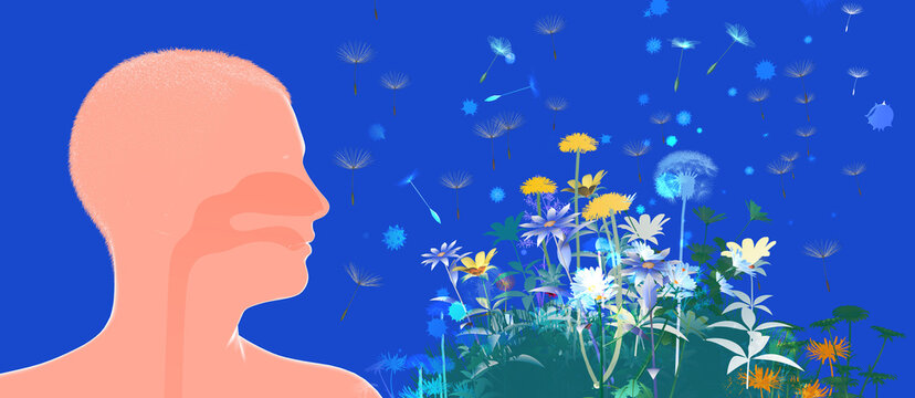 3D illustration of a human head with the upper respiratory system (ENT). Next to flowers, plants, and pollen that trigger spring allergies. Graphic style with flat colors on a blue background.