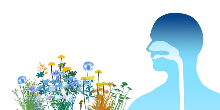 3D illustration of the upper respiratory system (ENT) alongside flowers, plants, and pollen that trigger spring allergies. Front view with flat color graphic style on a white background.