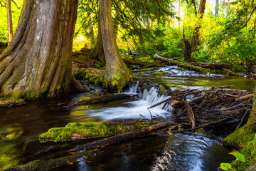 Beautiful Wahkeena Creek Running Through Columbia River Gorge Scenic Area