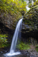 Spectacular Latourell Falls: Columnar Basalt Cliff in Columbia River Gorge