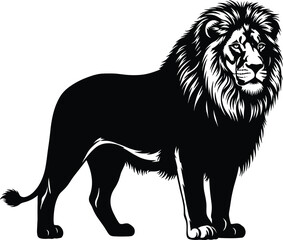 Black and white illustration of a standing lion with detailed mane and expressive face for wildlife and design themes