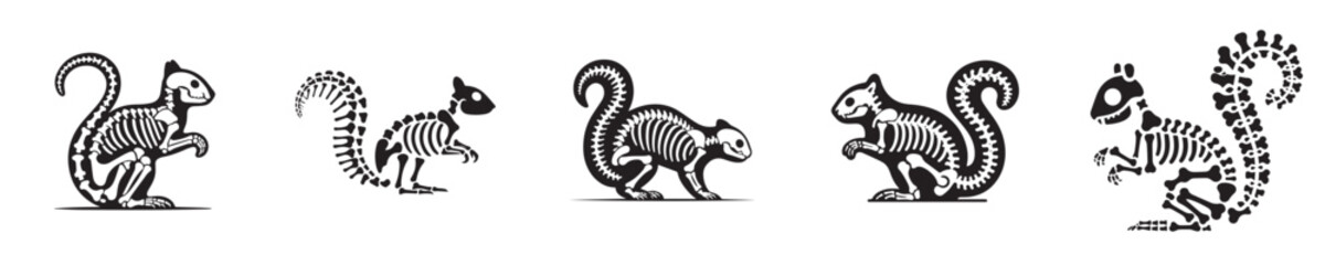 vector set of squirrel skeleton bones silhouettes © sarah16blakeyxh2