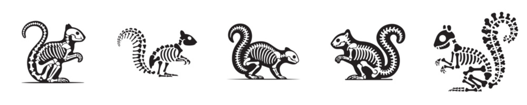 vector set of squirrel skeleton bones silhouettes