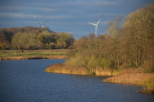 Spaziergang im herbstlichen Naturschutzgebiet Winderatt in Schleswig-Holstein