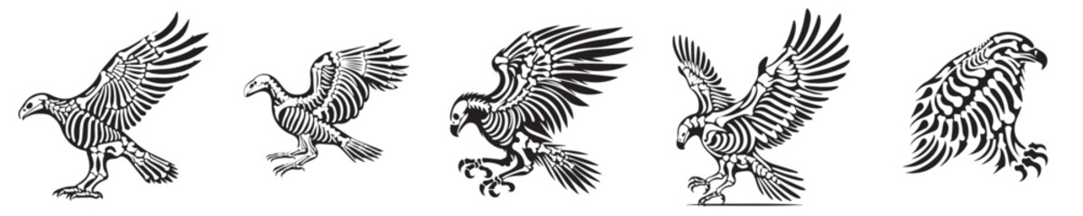 Fototapeta premium set of vector eagle skeleton silhouettes