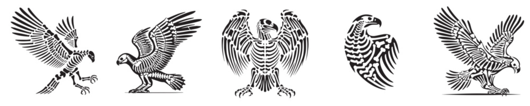 set of vector eagle skeleton silhouettes