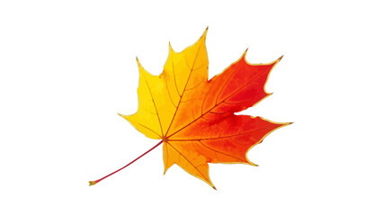 Colorful Maple Leaf Illustration With Gradients And Autumnal Color Scheme Isolated On A Transparent Background For Fall Season Nature Design.