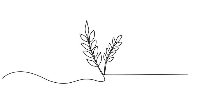 Animated self drawing of Ears of wheat one continuous line drawing .Fall harvest line art. Vector one line of spikelet . Thanksgiving symbol.Grain, One continuous line.