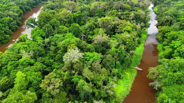 Aerial drone video of the Amazon River in Peru. A view of the green Amazon jungle and a parked boat. Meandering Amazon River. Iquitos, Peru
