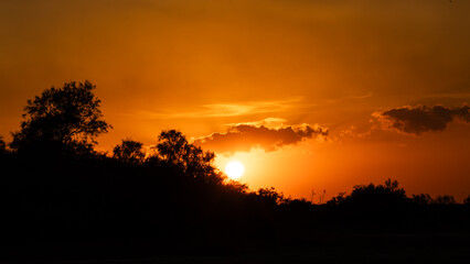 Fototapeta premium Sunset Behind Vegetation in a Quiet Marshland