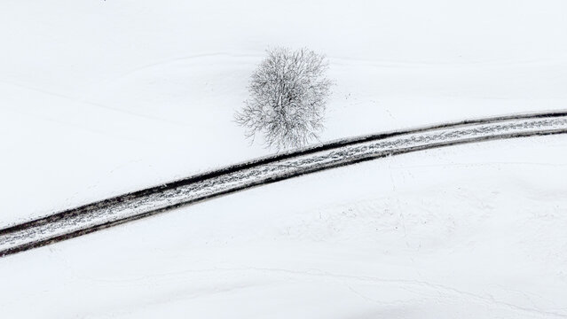 Minimalist winter aerial view of a lone tree beside a winding road in a snowy landscape creating clean abstract lines and calm seasonal atmosphere - Powered by Adobe