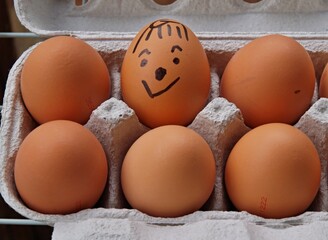 One uniqueness egg standing out in carton with other eggs