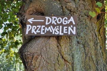 Rustykalny drewniany znak na drzewie ze strzałką i polskim tekstem Droga Przemyśleń – zewnętrzny znak przyrodniczy – Cichowo.