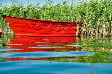 Jaskrawoczerwona łódź stoi wśród wysokich trzcin na spokojnym jeziorze, tworząc żywe odbicia na wodzie. Idealna do projektów związanych z naturą, podróżami i stylem życia na świeżym powietrzu. © Pol Badger