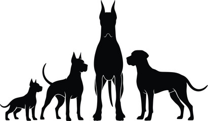 Silhouette of four dogs of different breeds standing together in a row isolated on a white background showing size and breed diversity