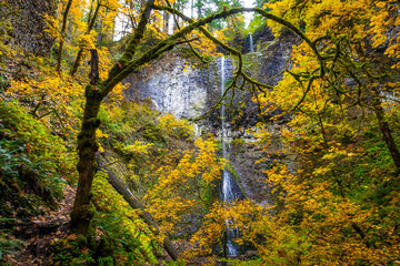 Beautiful Double Falls, Two-Tiered Waterfall in Fall at Silver Falls State Park