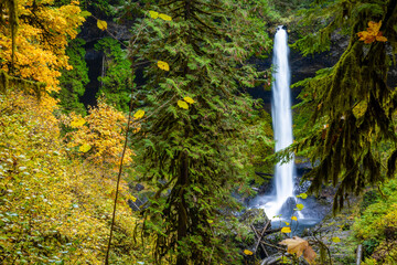 Magnificent North Falls and Walk-Behind Feature in Fall at Silver Falls State Park © PhotoSpirit