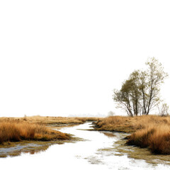 Serene wetland landscape with tall grasses and trees on a foggy morning in early autumn showcasing nature's beauty