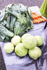 Ingredients for making traditional russian food kroshevo. Kroshevo - dish consisting of shredded cabbage, carrots