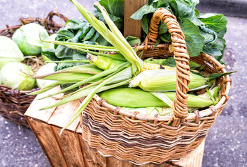Corn cobs from the new harvest in a basket