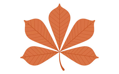 Stylized autumnal horse chestnut leaf graphic isolated on white