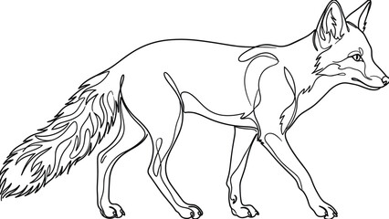 Elegant red fox walking pose, drawn in a continuous one-line art style, black and white minimal outline, wild animal contour vector illustration on white background