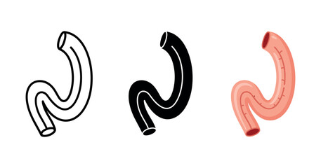 Obraz premium Anatomy of the human stomach: line art, silhouette, and detailed view