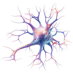 3D neuron illustration showing detailed structure and connections of neural cells in the brain