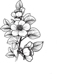 Minimalist single Quince flower drawings, Quince flower vector art, drawing outline flowers tattoo, small Quince flower tattoo, ink illustration clipart isolated on white, flower coloring sheet