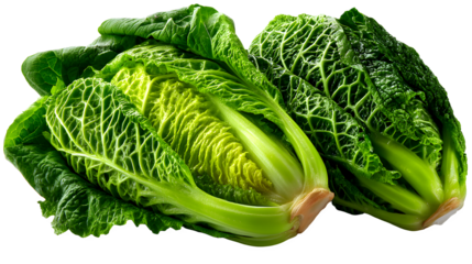 Fresh romaine lettuce heads ready for salads, vibrant green produce from local farm on transparent background